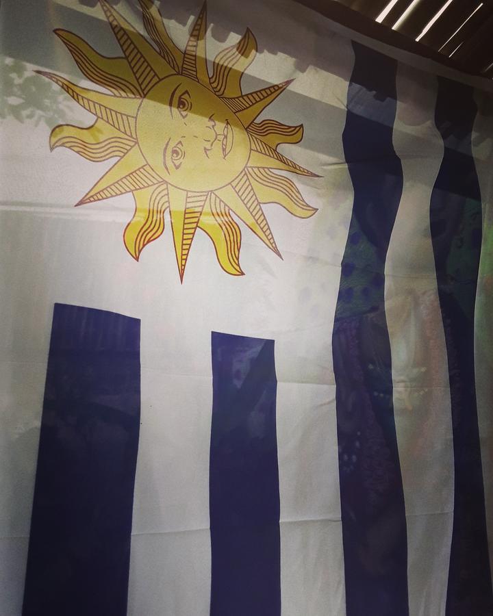 פלוטאס Frida Casa Hostel מראה חיצוני תמונה