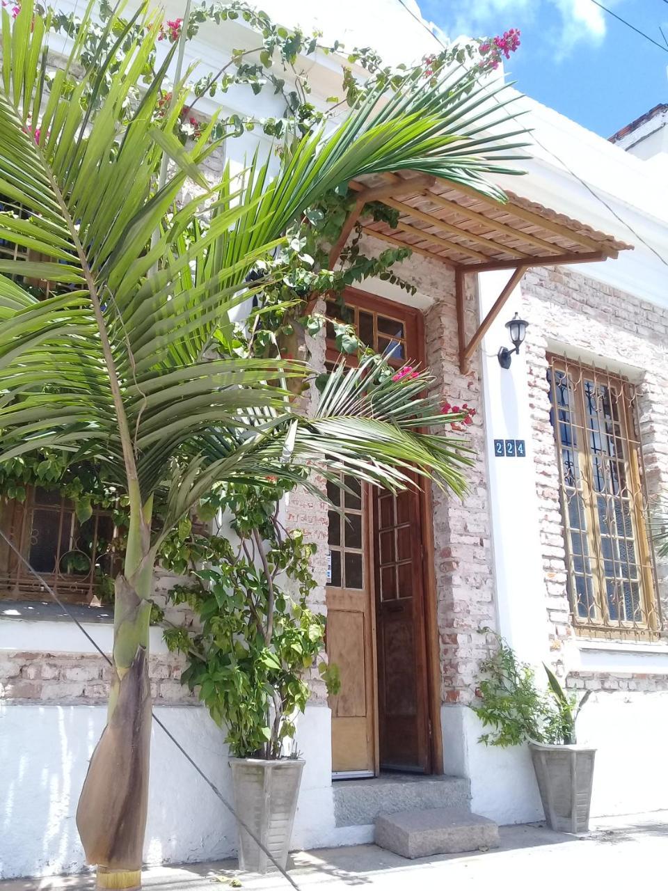פלוטאס Frida Casa Hostel מראה חיצוני תמונה